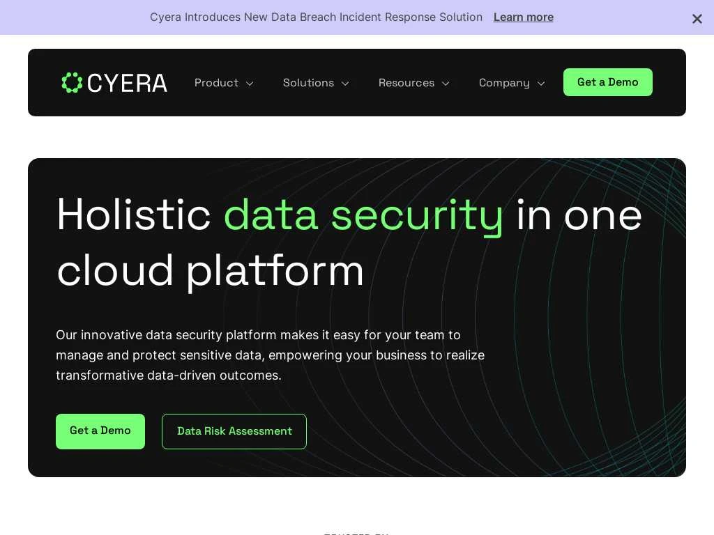 Screenshot of the website of Cyera