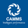 Logo of CAMMS