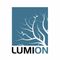 Logo for Lumion