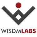 Logo for WisdmLabs