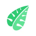 Logo of Canopy Analytics