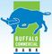 Logo for Buffalo Commercial Bank