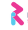 Logo for RealSAM