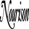 Logo for Nourison