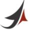 Logo for CPA Consulting Group