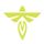 Logo for Firefly Aerospace