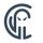 Logo for Critical Insight