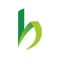 Logo for Bamboo Import