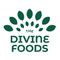 Logo for The Divine Foods