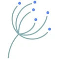 Logo for Dandelion Capital Management