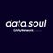 Logo for Data Soul