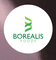 Logo for Borealis Foods