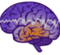 Logo for Next Gen Neuro