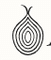 Logo for Allium Data