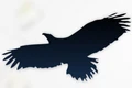 Logo for avisOnline
