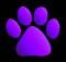 Logo for Petvisor