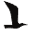 Logo for MOVE