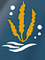 Logo for Ocean Rainforest