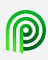 Logo for Palmetto