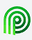 Logo for Palmetto