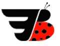 Logo for FastBeetle