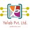 Logo for YELAB