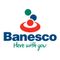 Logo for Banesco USA