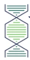 Logo of Yemaachi
