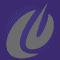 Logo for Engineered Software
