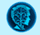 Logo for chatadvisor.ai