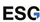 Logo for Emirates Stallions Group