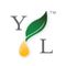 Logo for Young Living