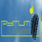 Logo for Pyrum