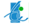Logo for Techversant