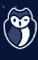 Logo for GitGuardian