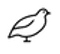 Logo for QuAIL