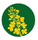 Logo for Cano-ela