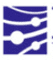Logo for Kinaset Therapeutics