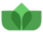 Logo for IVY Growth Associates