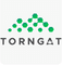 Logo for Torngat Metals