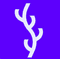 Logo for Dill