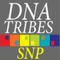 Logo for DNA Tribes