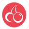 Logo for Cherrytechs