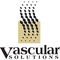 Logo for Vascular Solutions
