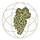 Logo for Atlas Vineyard Management
