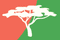 Logo for Msasa