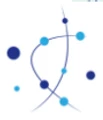 Logo for Sealk