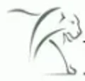 Logo for Lion Capital