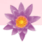 Logo for Lily