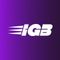 Logo for Immersive Gamebox